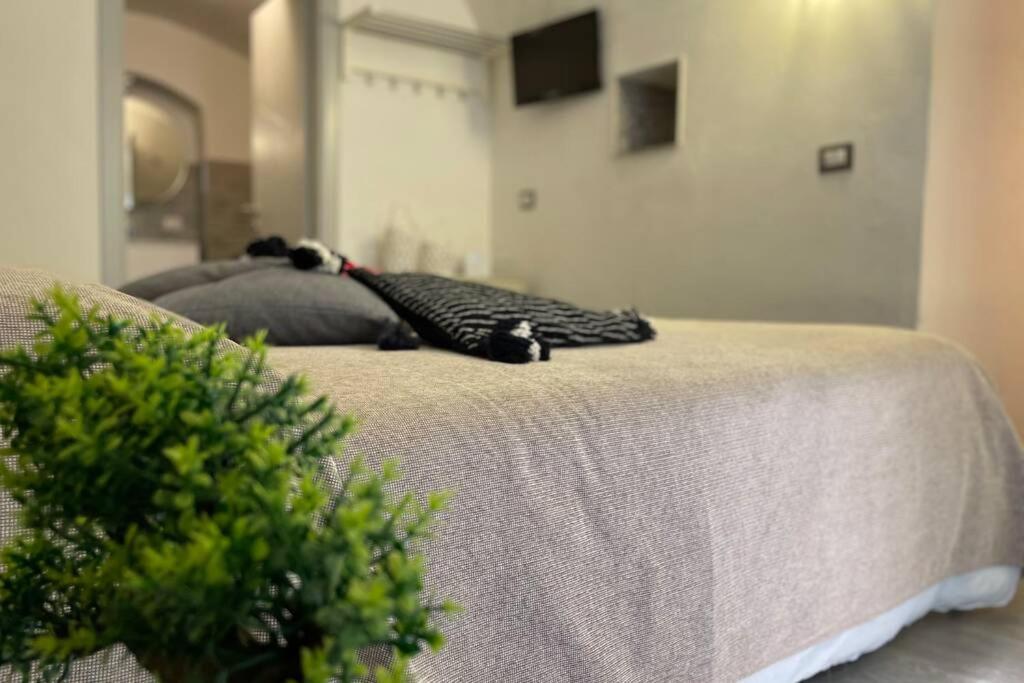 Tufoletto Apartment パレルモ エクステリア 写真