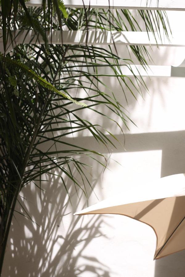 Tufoletto Apartment パレルモ エクステリア 写真